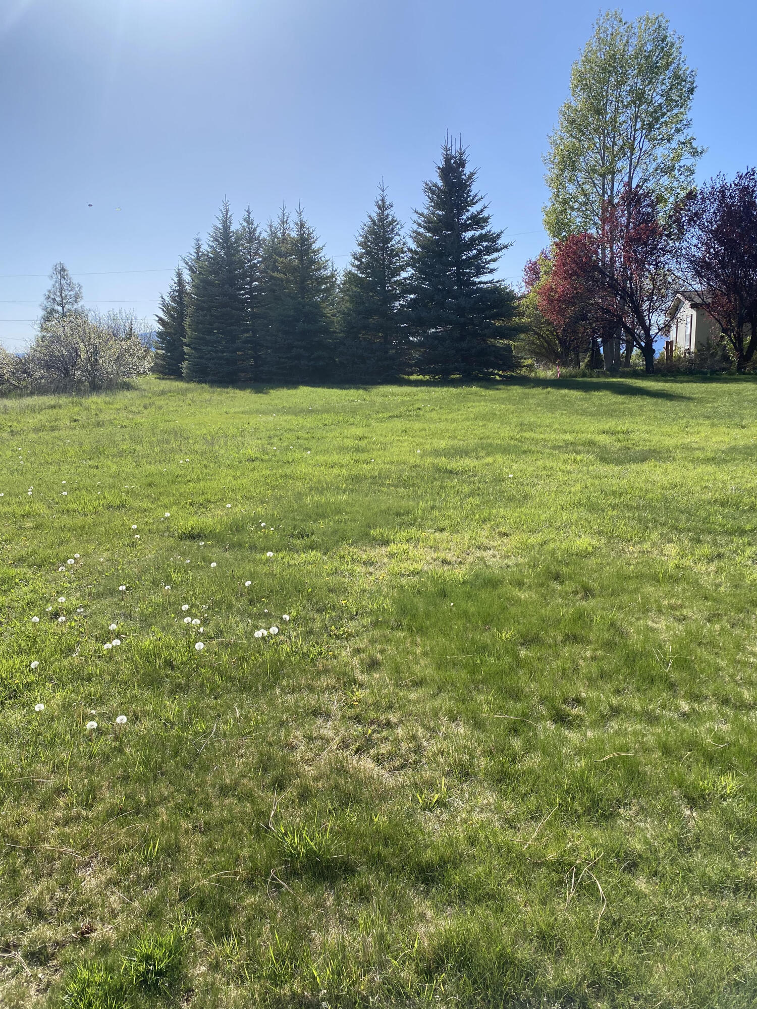 0000 Meadow View Drive