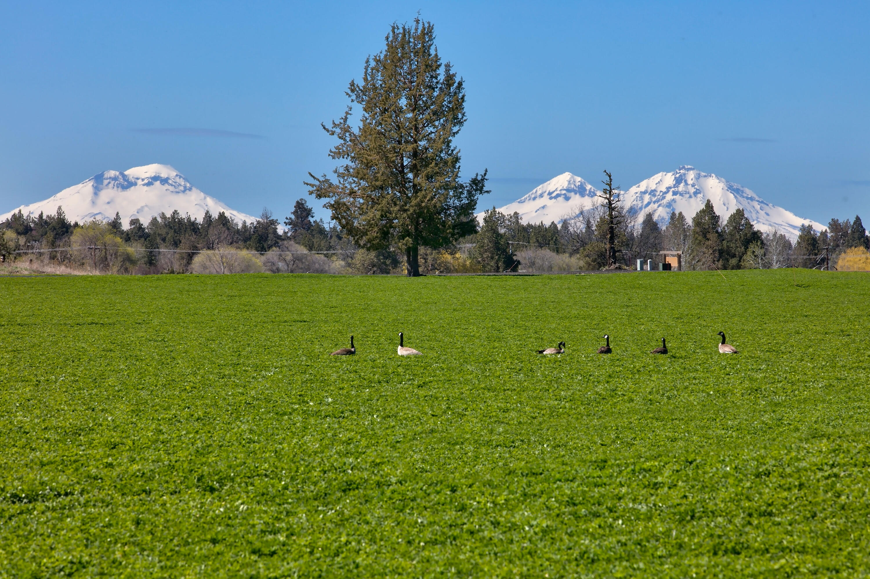Ranch at the Canyons - Land