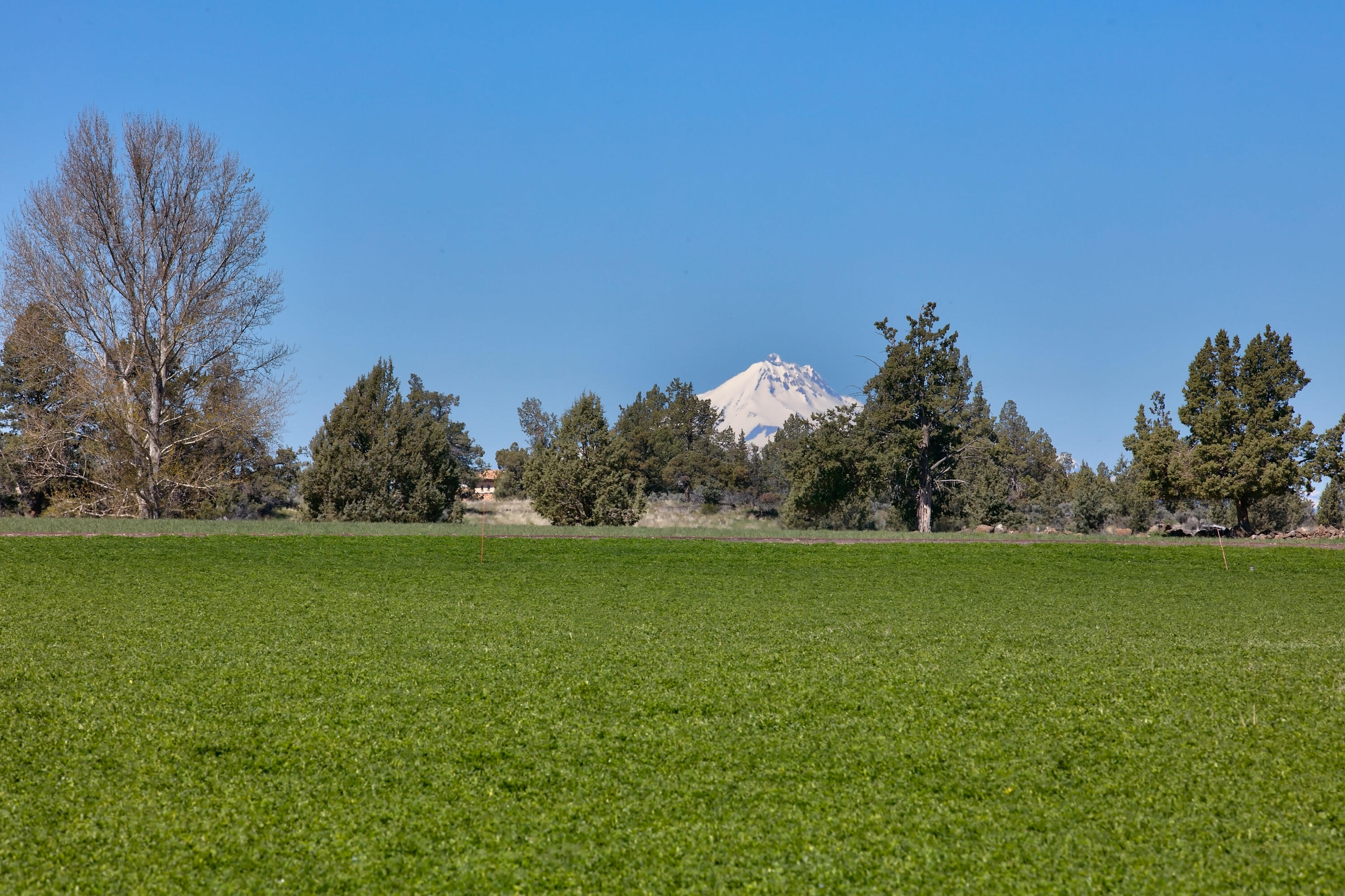 Ranch at the Canyons - Land