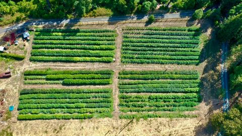 Tiny photo for 6534 Tunnel Loop Road, Grants Pass, OR 97526 (MLS # 220212517)