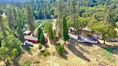 Tiny photo for 6534 Tunnel Loop Road, Grants Pass, OR 97526 (MLS # 220212517)