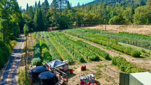 Tiny photo for 6534 Tunnel Loop Road, Grants Pass, OR 97526 (MLS # 220212517)