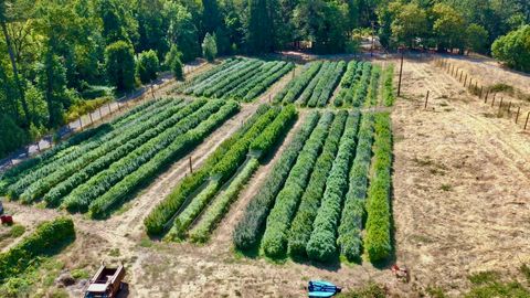 Tiny photo for 6534 Tunnel Loop Road, Grants Pass, OR 97526 (MLS # 220212517)