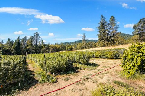 Tiny photo for 6534 Tunnel Loop Road, Grants Pass, OR 97526 (MLS # 220212517)