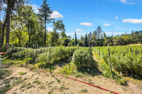 Tiny photo for 6534 Tunnel Loop Road, Grants Pass, OR 97526 (MLS # 220212517)