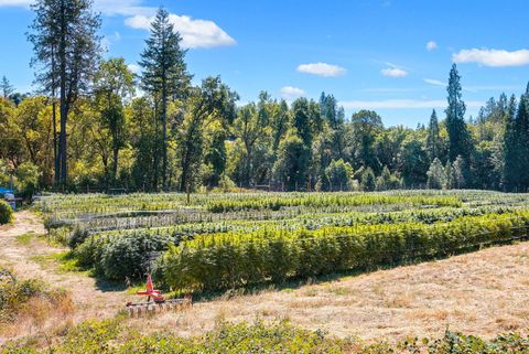 Tiny photo for 6534 Tunnel Loop Road, Grants Pass, OR 97526 (MLS # 220212517)