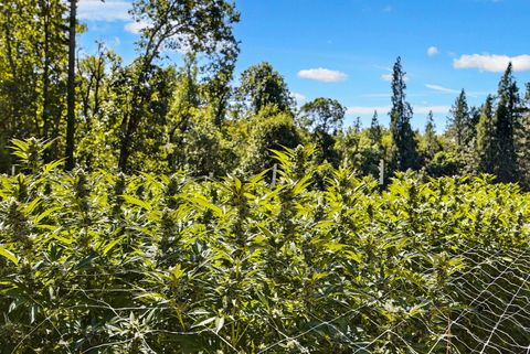 Tiny photo for 6534 Tunnel Loop Road, Grants Pass, OR 97526 (MLS # 220212517)