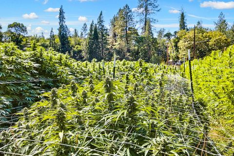 Tiny photo for 6534 Tunnel Loop Road, Grants Pass, OR 97526 (MLS # 220212517)