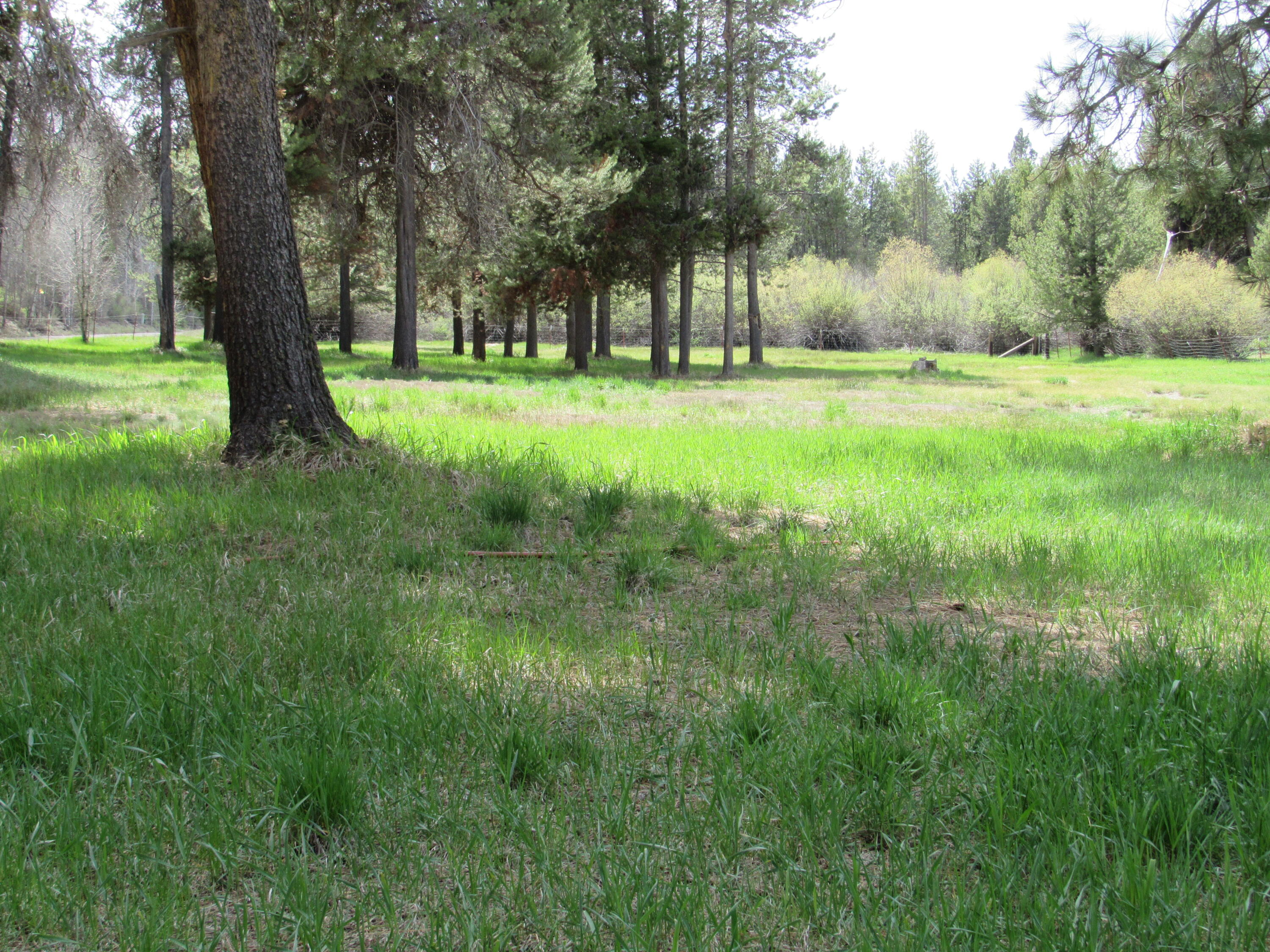 Rainbow Park On The Williamson - Residential