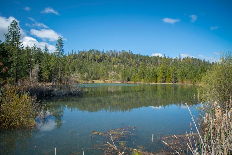 Secluded 97.40 acres of open meadow, timber and ponds stocked with fish. This property is located in the Big Butte Basin near Butte Falls. Park setting, and landscaped to perfection. 
Beautiful 2107 sft 2 story home with loft, pine floors, custom built in 1993. Large Bonus room with covered front & back porch. 
Shops, barns, wood shed, and many nicely maintained outbuildings. Large Koi ponds and a covered outdoor cooking/BBQ area.  
Split Rail fence around the home with stacked rock boarders. All this with Old Growth Fir, Cedar and Pine trees around the yard and home. The Landscaping lends itself to a Park setting with automatic sprinkler system. 
Merchantable standing timber, 2 spring fed large well stocked ponds. Property is surrounded by BLM and Private timber companies.
A true one of a kind property. All utilities are underground. 
Well flow test completed 6/7/22 - Avg. 9.53gpm + Two 5,000 gal holding tanks.