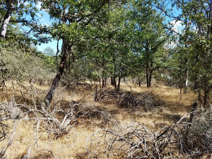 1.08 acres of flat, usable land. No improvements yet, so buyer to do their own due diligence on availability of utilities and process for obtaining building permits. Sellers will carry 1st trust deed for short term with $20,000 down.