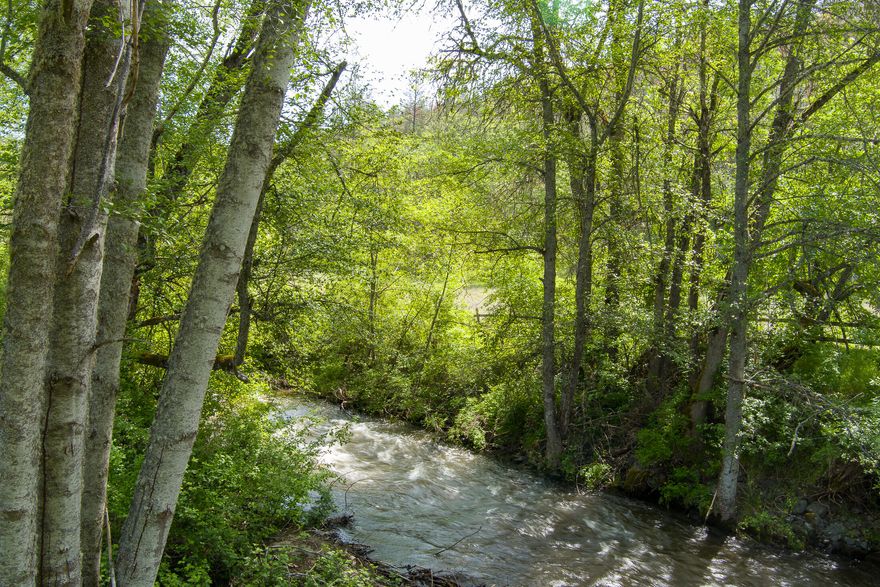 Located in the beautiful Applegate Valley, these 164+ acres feature 18.5 acres of irrigation rights, over 1,700ft of Little Applegate River frontage, and stunning mountain views. The private mountainside borders BLM and is perfect for hiking, ATV's and horseback riding. The home has 3 bedrooms, 2 ½ bathrooms, an open concept living area, and an attached garage. Upgrades include a new roof, a porch re-build, and brand-new flooring throughout the entire home. Historic downtown Jacksonville and the gorgeous Applegate Lake are both only a 30-minute drive from your front door. Don't miss out on the opportunity to own a large piece of this stunning countryside.