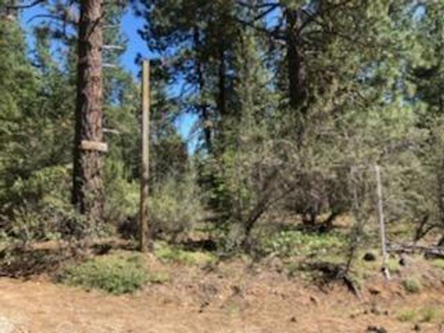 Easy to find lot with lots of very nice trees with a nice spot in the middle to be cleared and improvements made of your choice. Just a short distance off HWY 140 E, easy drive to Bonanza, Klamath Falls and surrounding communities