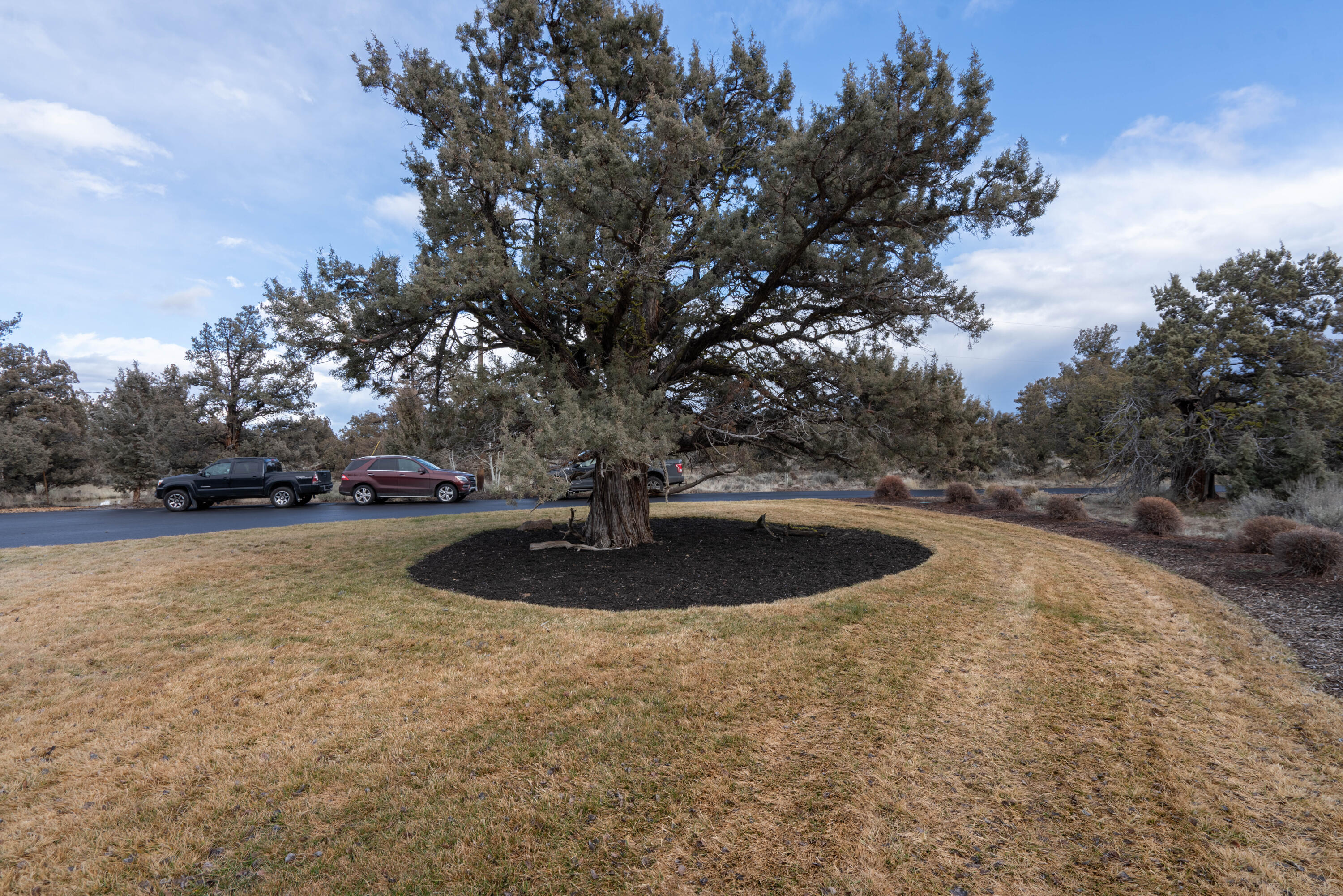 West Powell Butte Es - Residential