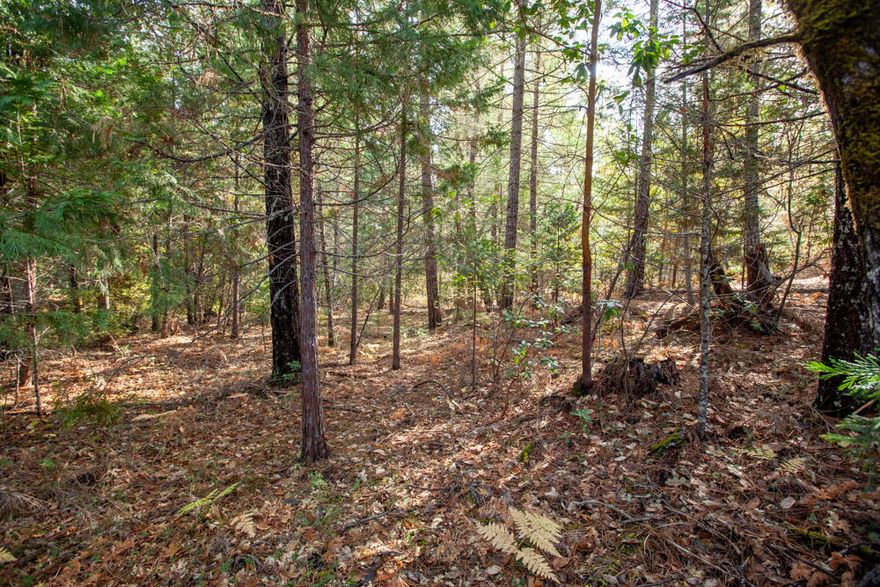 Ready to build and surrounded by nature, this wooded property offers the perfect blend of seclusion and convenience—just a short drive to town. With standard septic approval already in place, a road installed, and the land cleared, much of the prep work is done. Choose from multiple homesite options, whether you prefer an open clearing or a more private spot tucked among the trees. Power is available at the property line for easy access. With an acceptable offer, the seller will drill a well. Per seller, water rights from Vannoy Creek are included—buyer to verify all information and perform due diligence.
