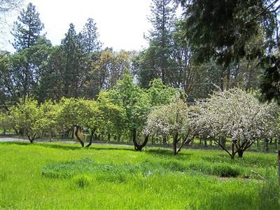 Bannister Creek - Land