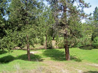 Bannister Creek - Land