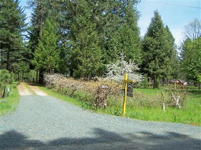 Bannister Creek - Land