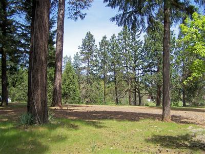 Bannister Creek - Land