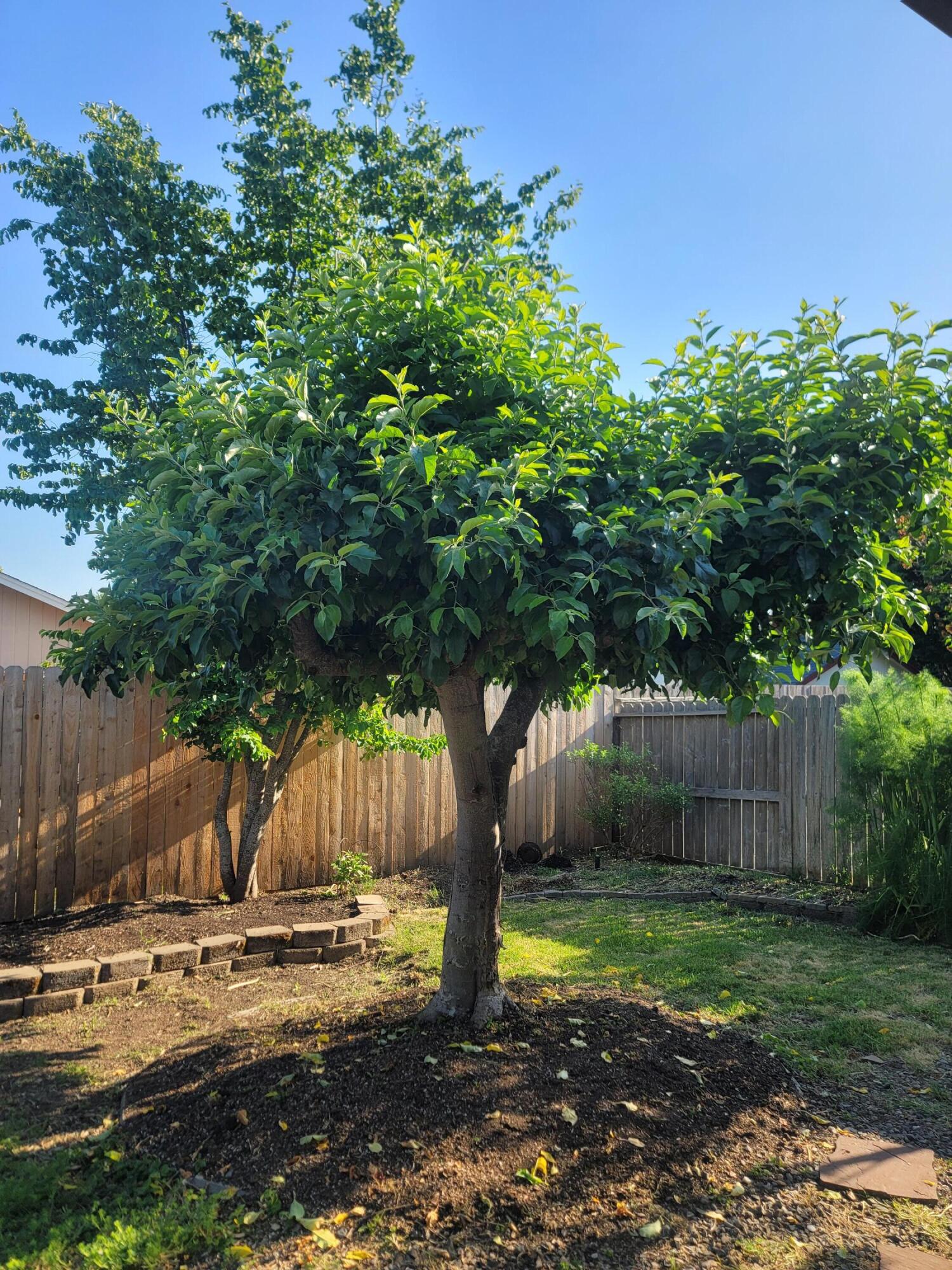 Northeast Estates - Residential