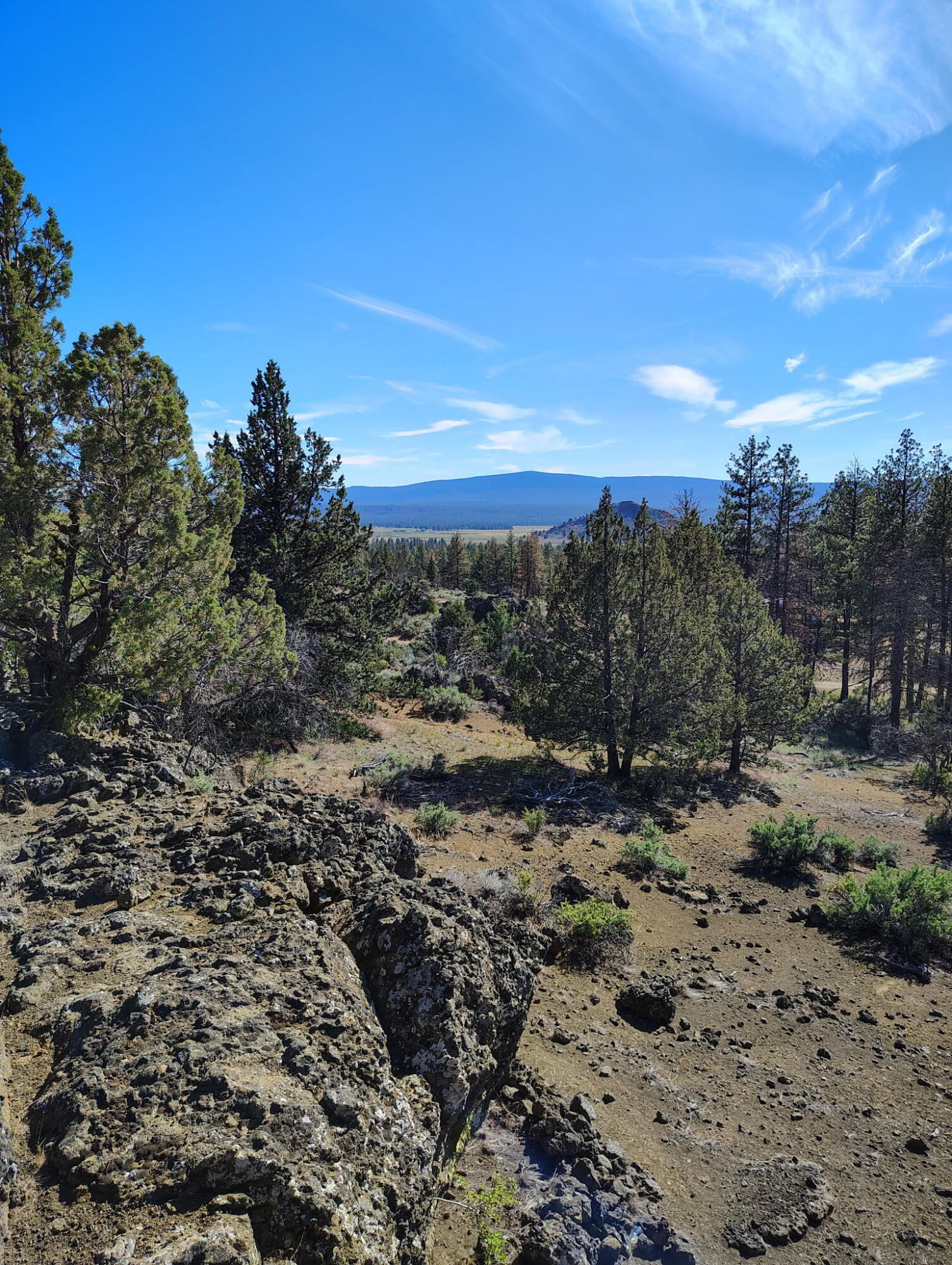 Klamath Forest Estates -First Addition - Land