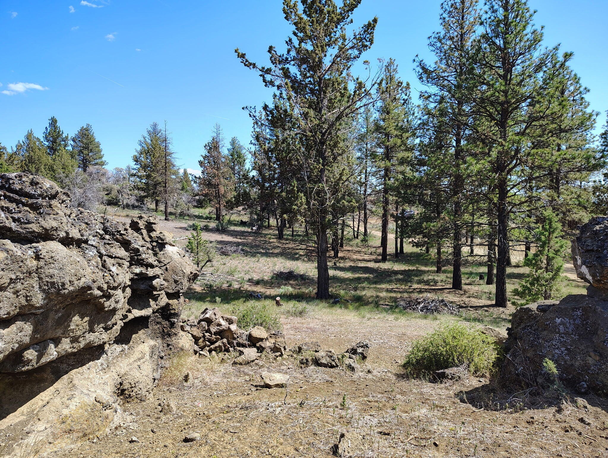 Klamath Forest Estates -First Addition - Land