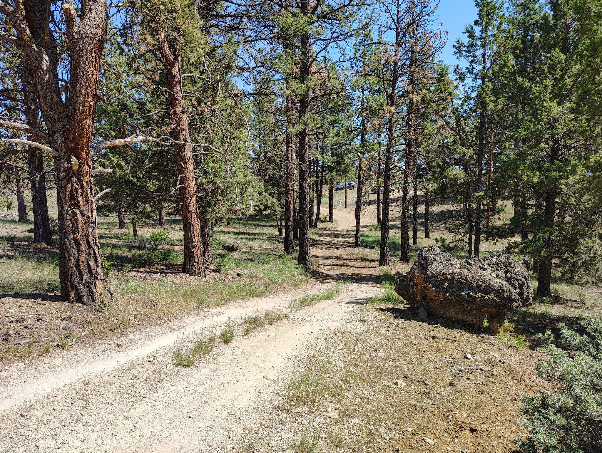Klamath Forest Estates -First Addition - Land