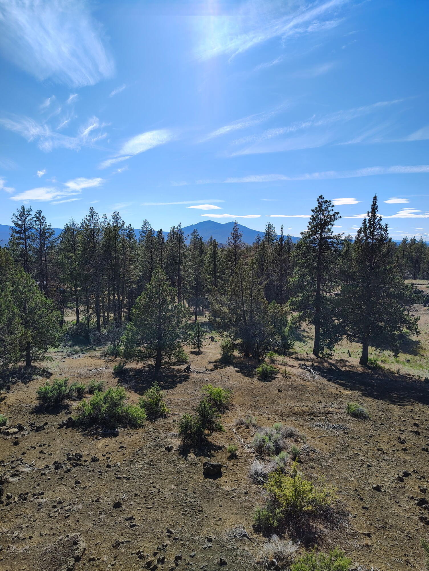 Klamath Forest Estates -First Addition - Land