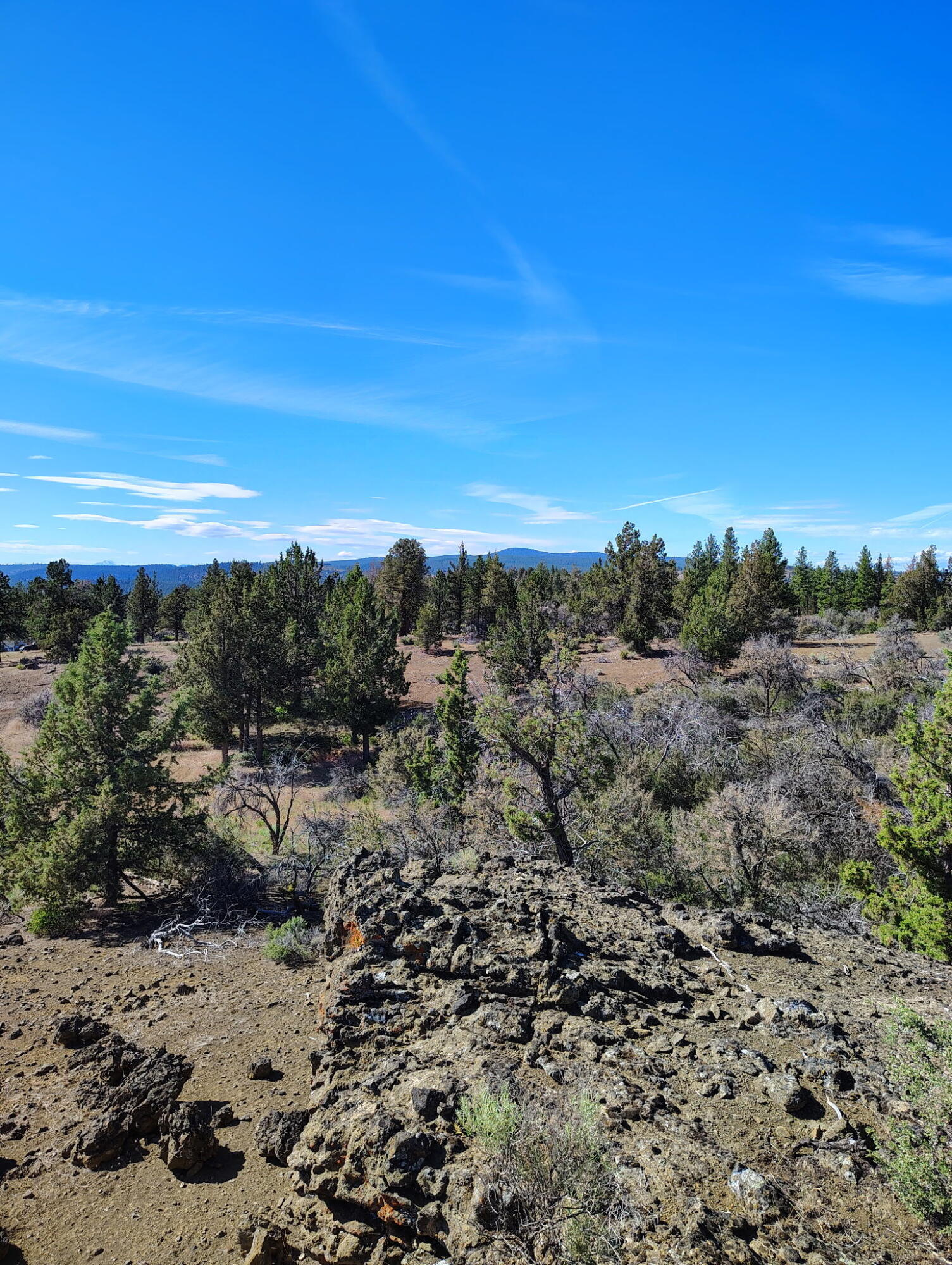 Klamath Forest Estates -First Addition - Land