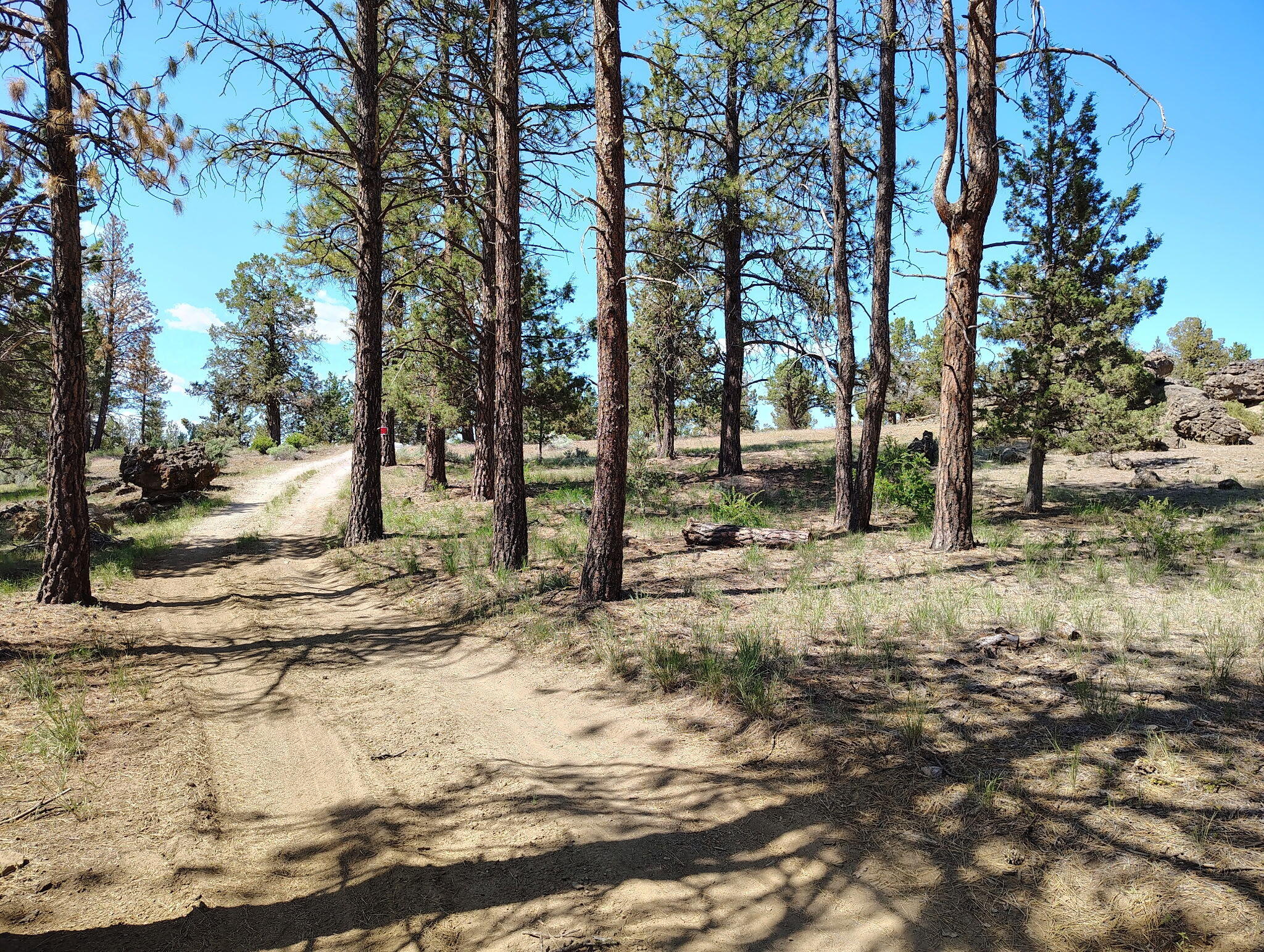 Klamath Forest Estates -First Addition - Land