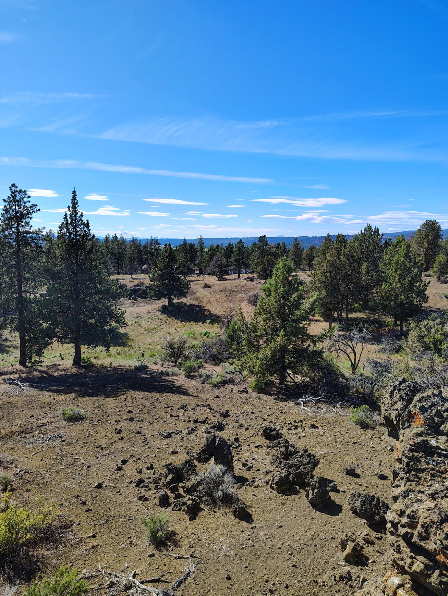 Klamath Forest Estates -First Addition - Land