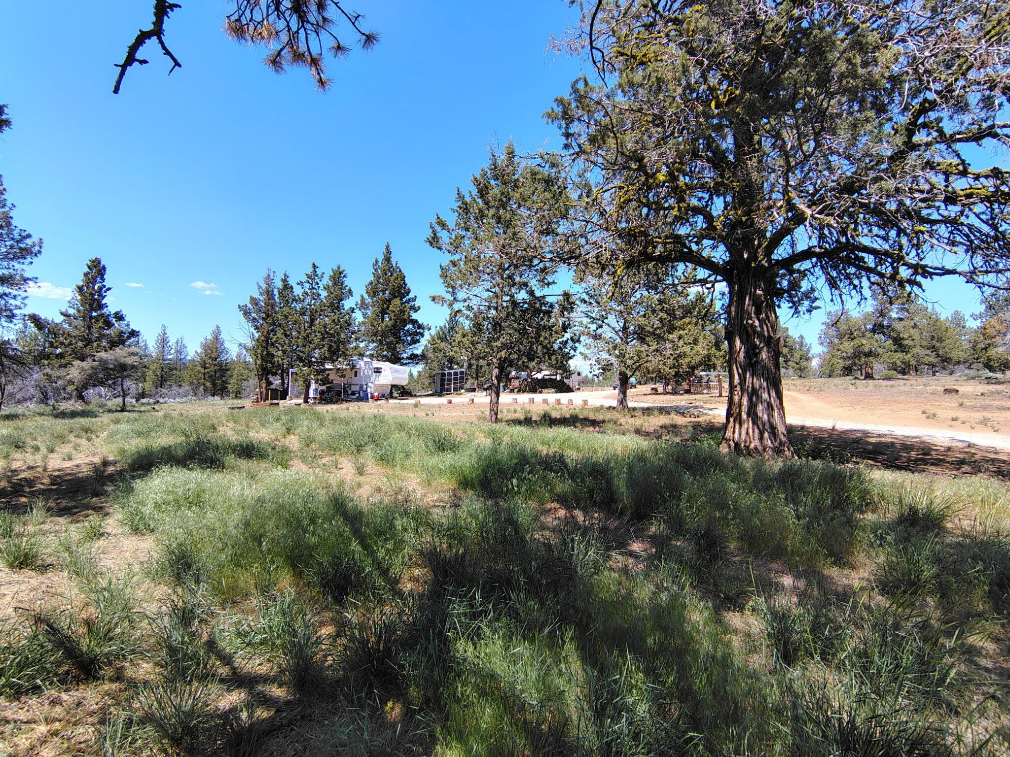 Klamath Forest Estates -First Addition - Land
