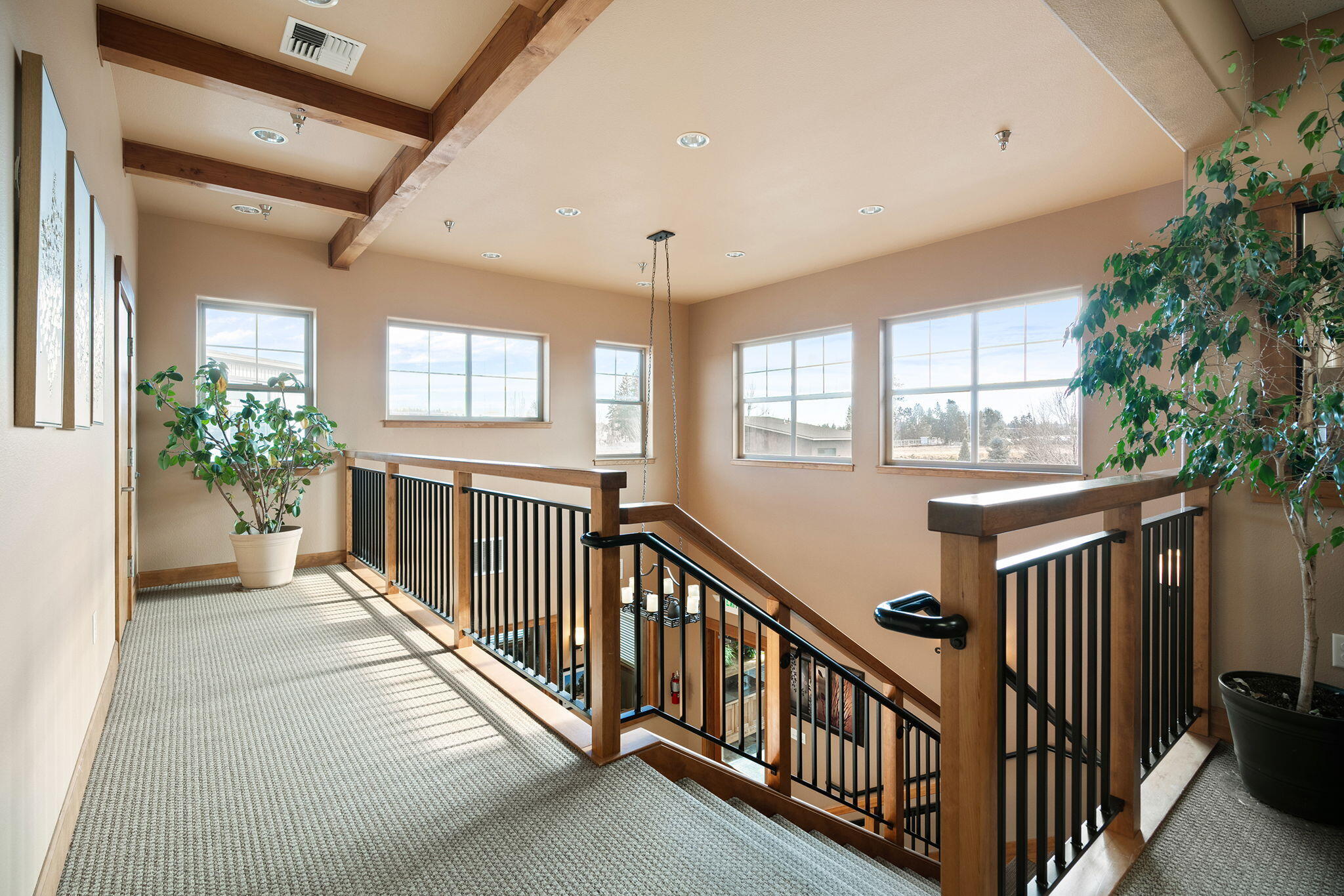 Sun Ranch Business - Commercial Sale