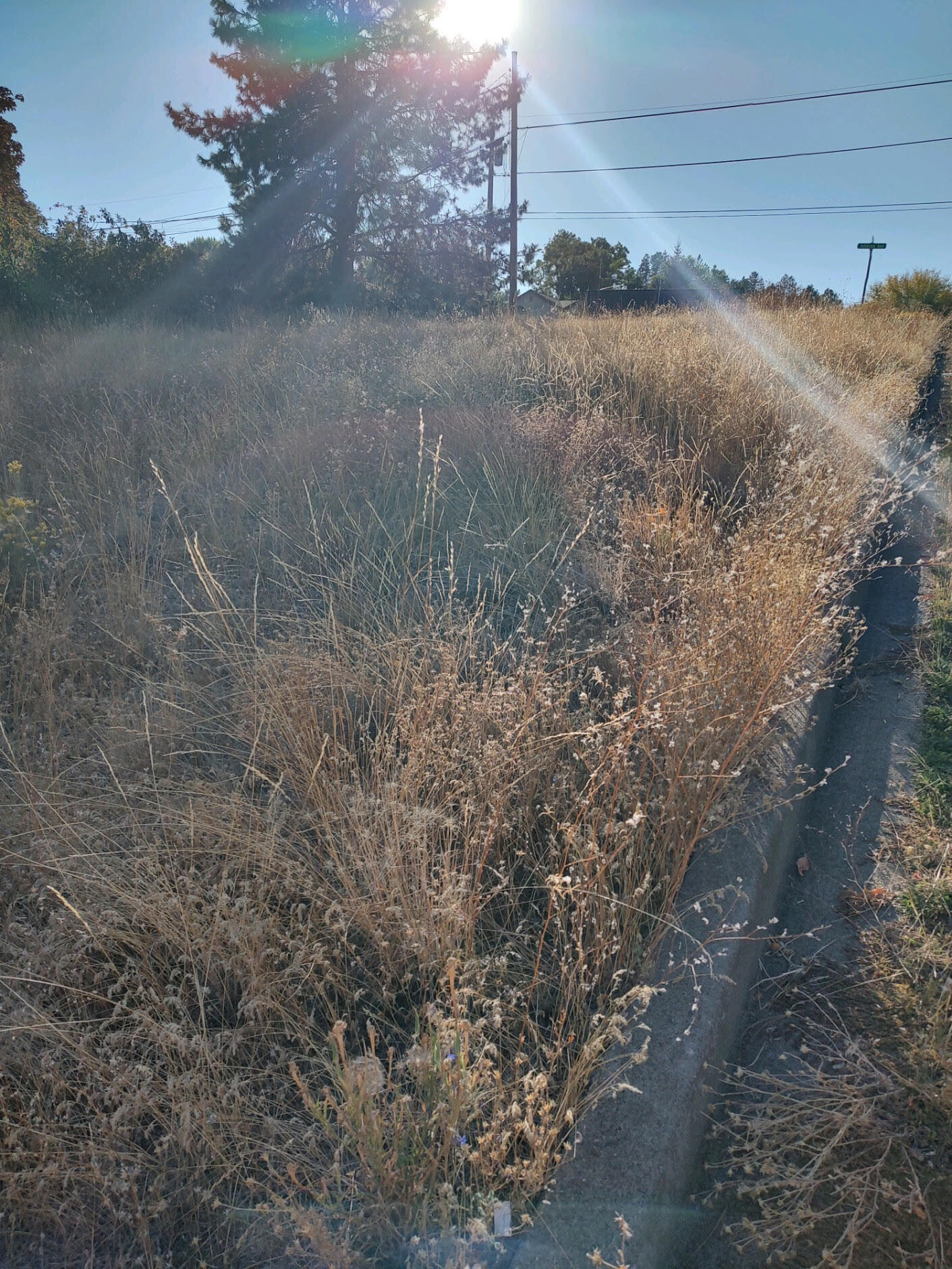 Klamath Falls -Hillside Addition - Land