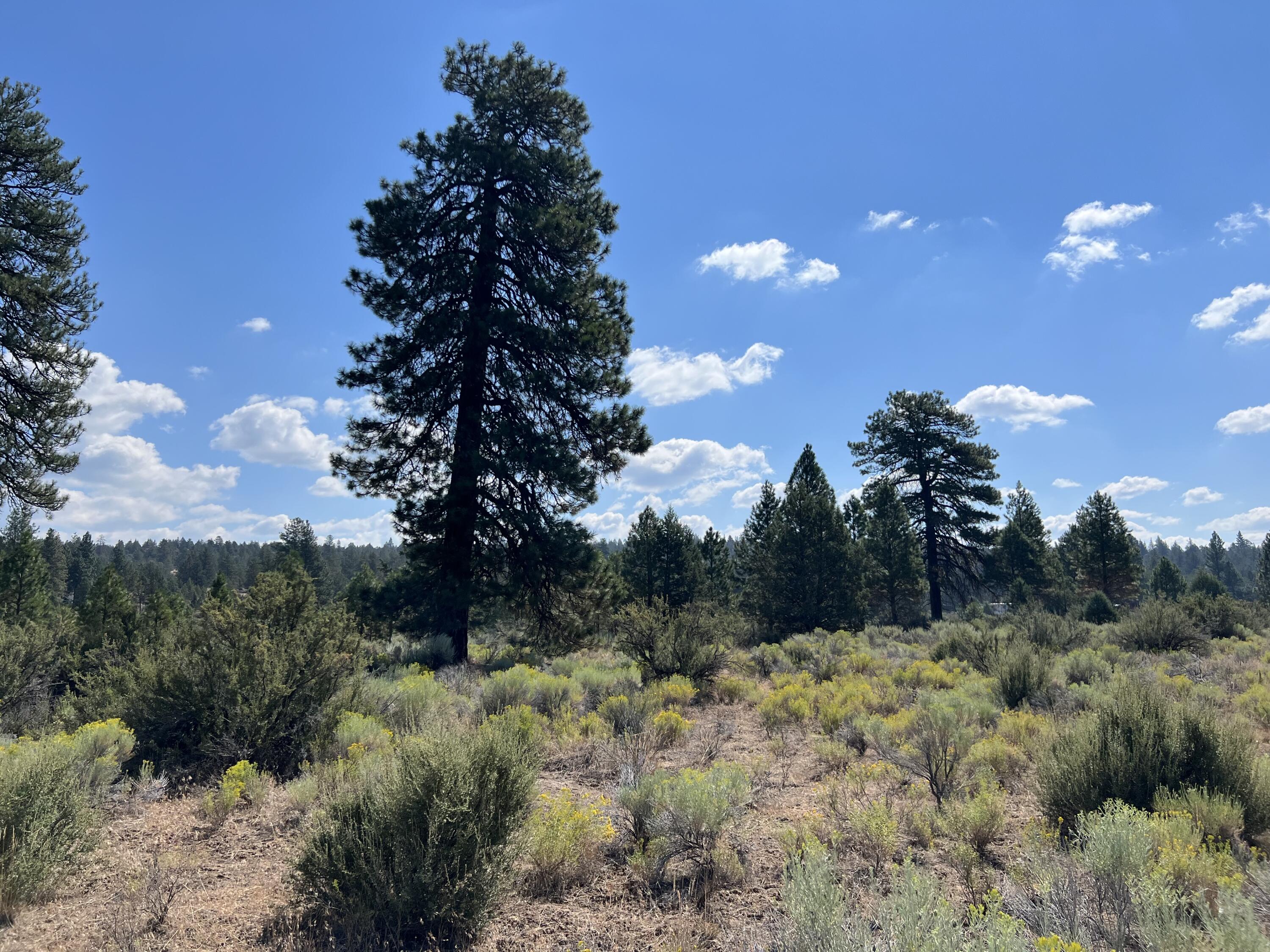 Klamath Falls Forest Estates -Hwy 66 Unit -Plat No. 2 - Land