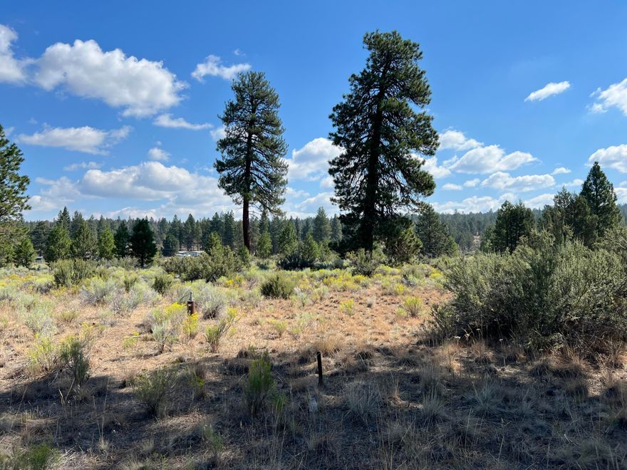 2.3 acres with a WELL and standard septic approval! Level corner lot with a few mature pines, power line runs in front of the lot. Roads are well maintained, quiet and peaceful location.