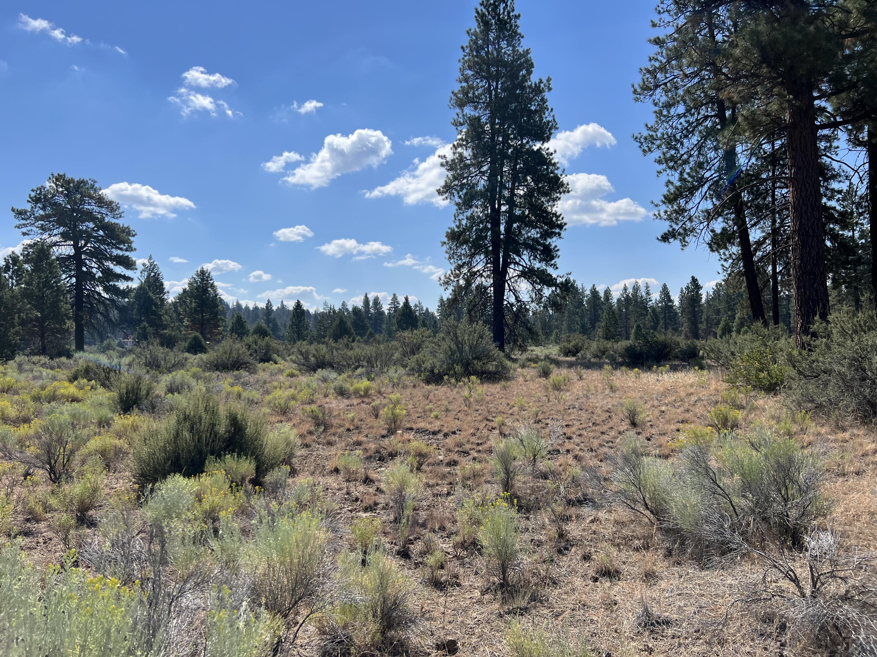 Klamath Falls Forest Estates -Hwy 66 Unit -Plat No. 2 - Land