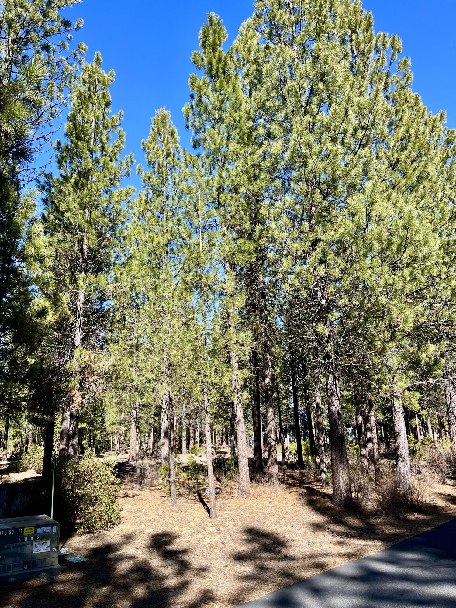 14171 Whitewater Loop