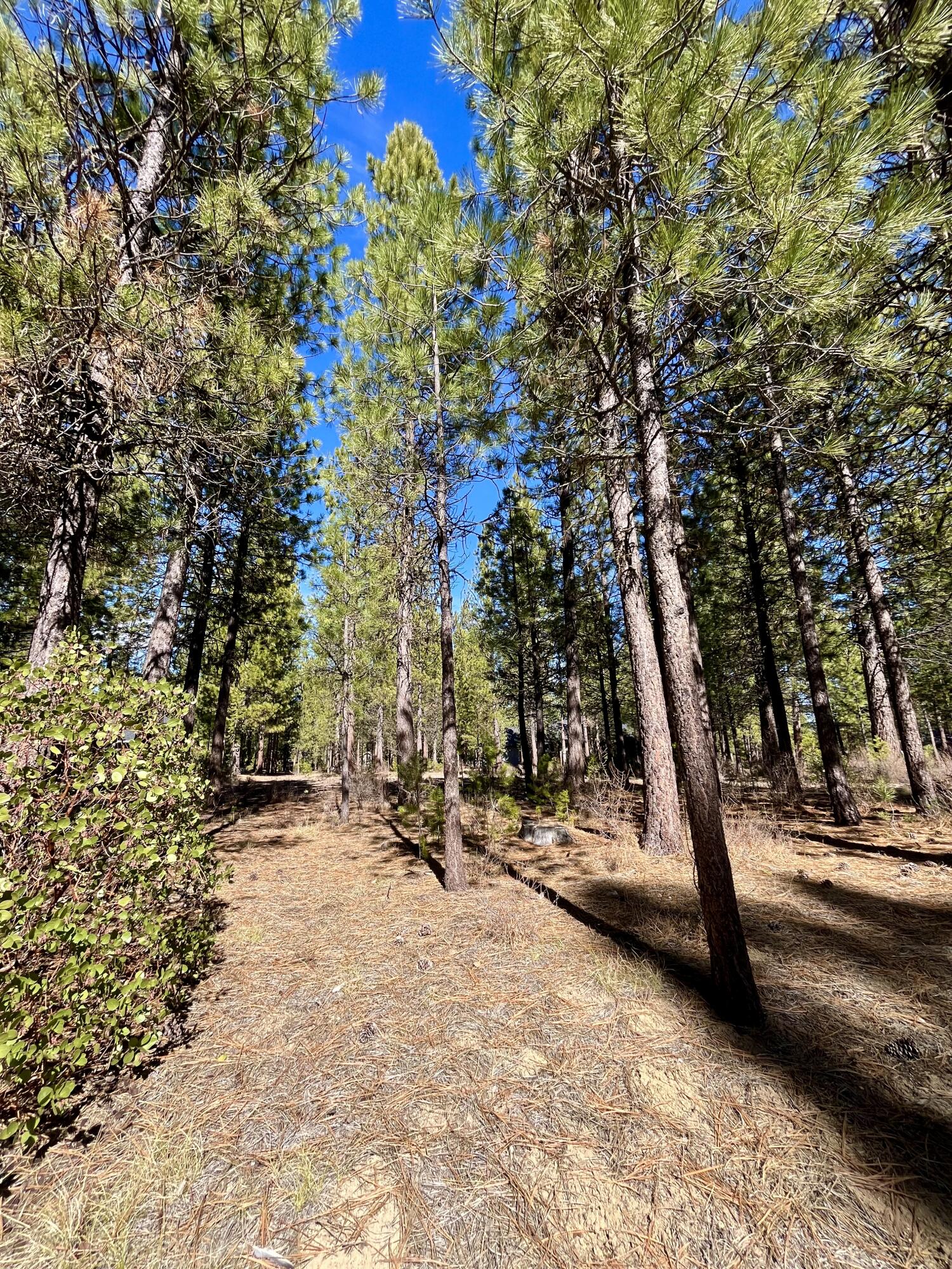 14171 Whitewater Loop