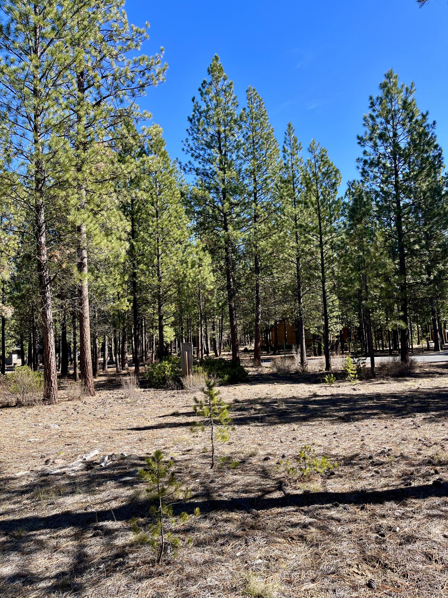 14171 Whitewater Loop