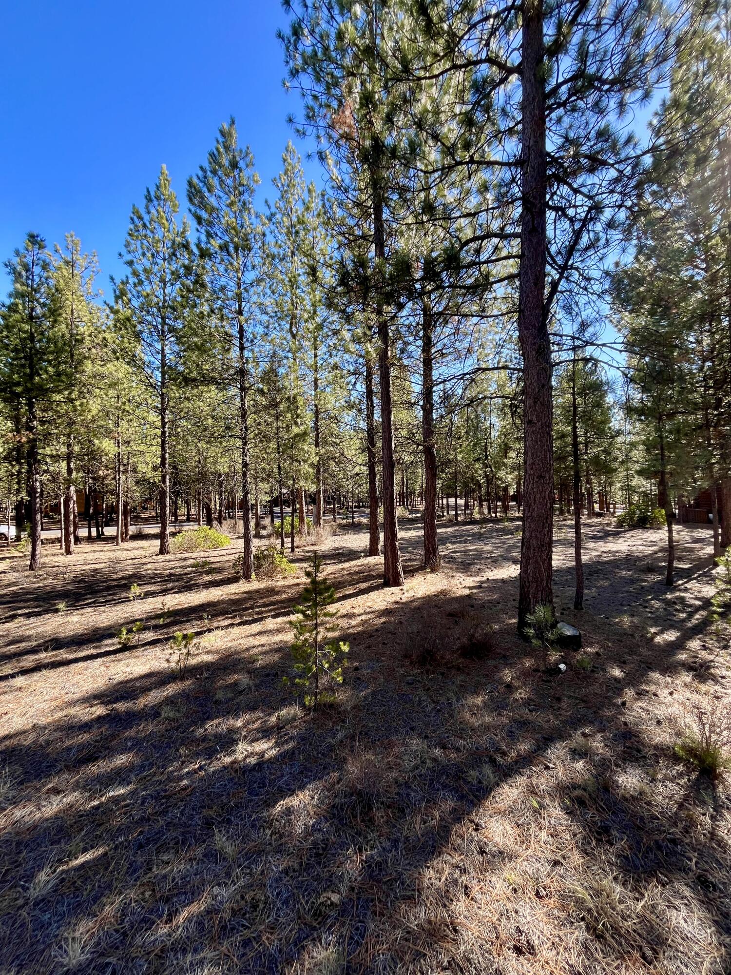 14171 Whitewater Loop