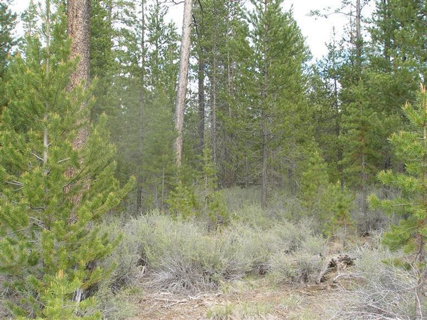 Enjoy privacy & elbow room on large treed acreage between Sunriver & LaPine. Possible mountain view with selective tree cutting. Build int he center & enjoy your space! Owner will carry with large down & excellent credit.