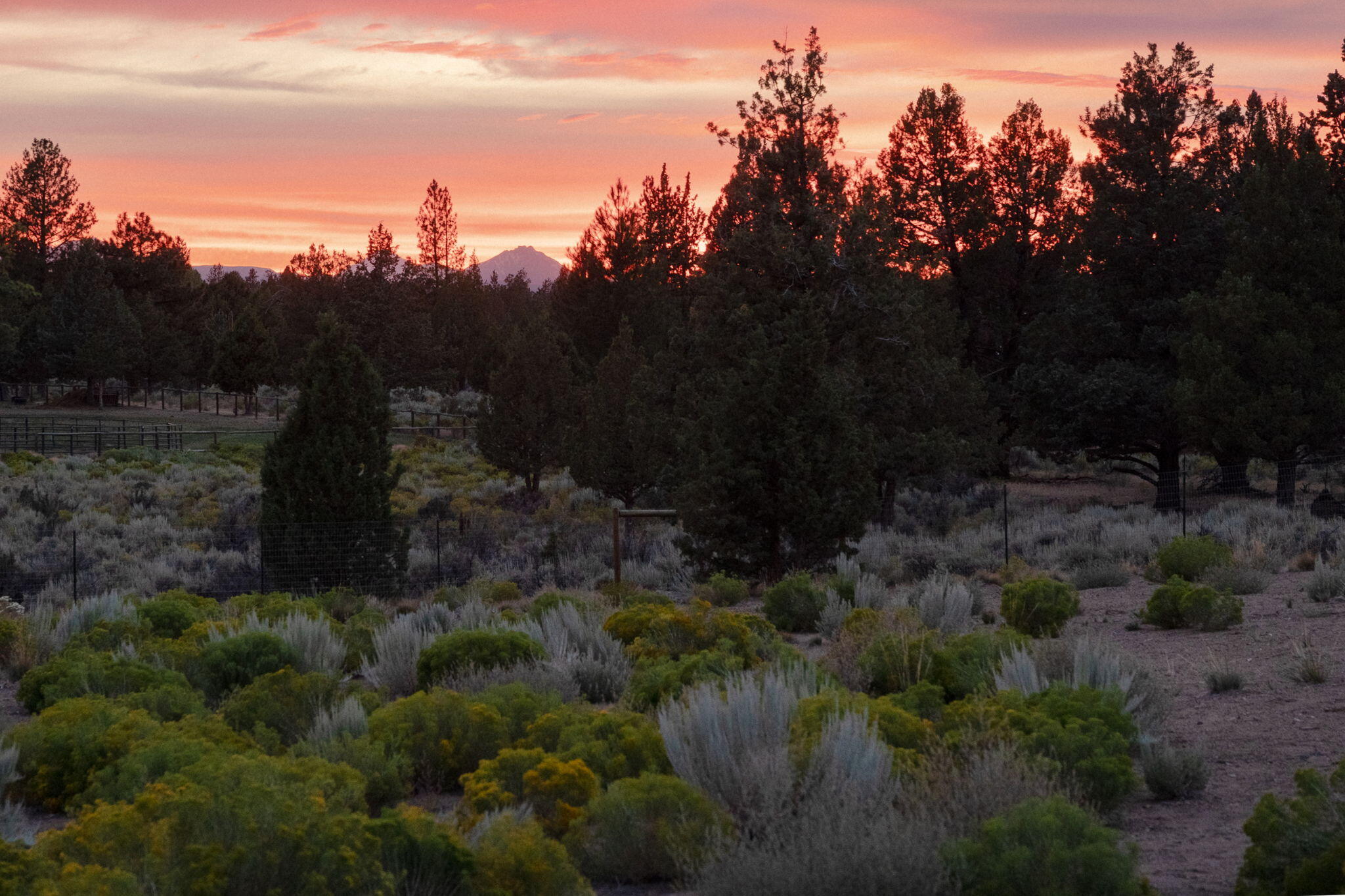 Sundance East - Residential