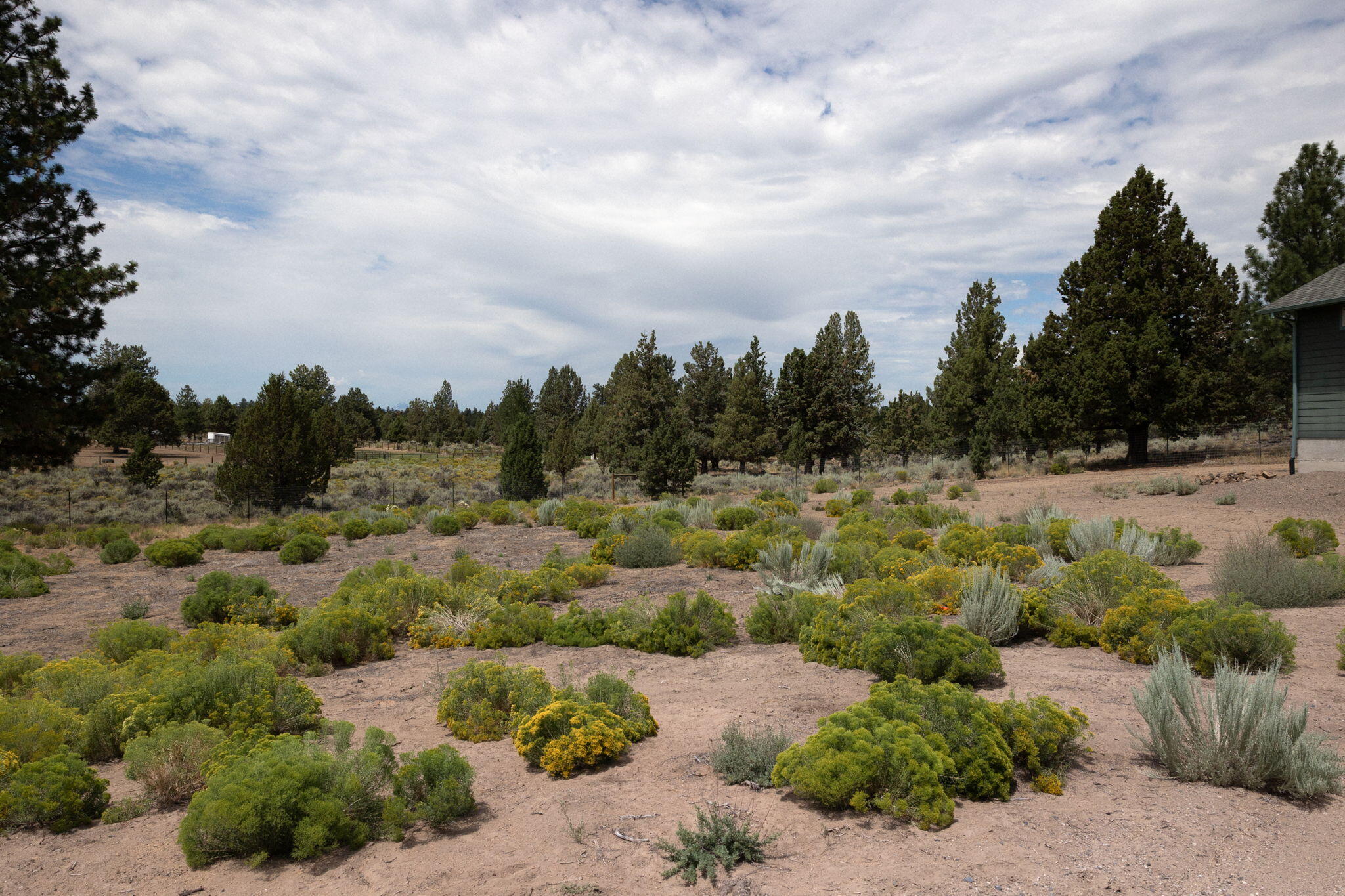 Sundance East - Residential