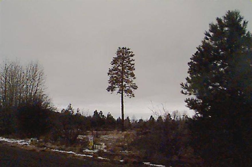 Access To Agency Lake. Road Maintenance & Wa Ter District. Assoc Dues $80/Annually. View O F Lake & Mountains. There Are Some Pine Trees Priced To Sell Quickly! Manufacture Home Ok.