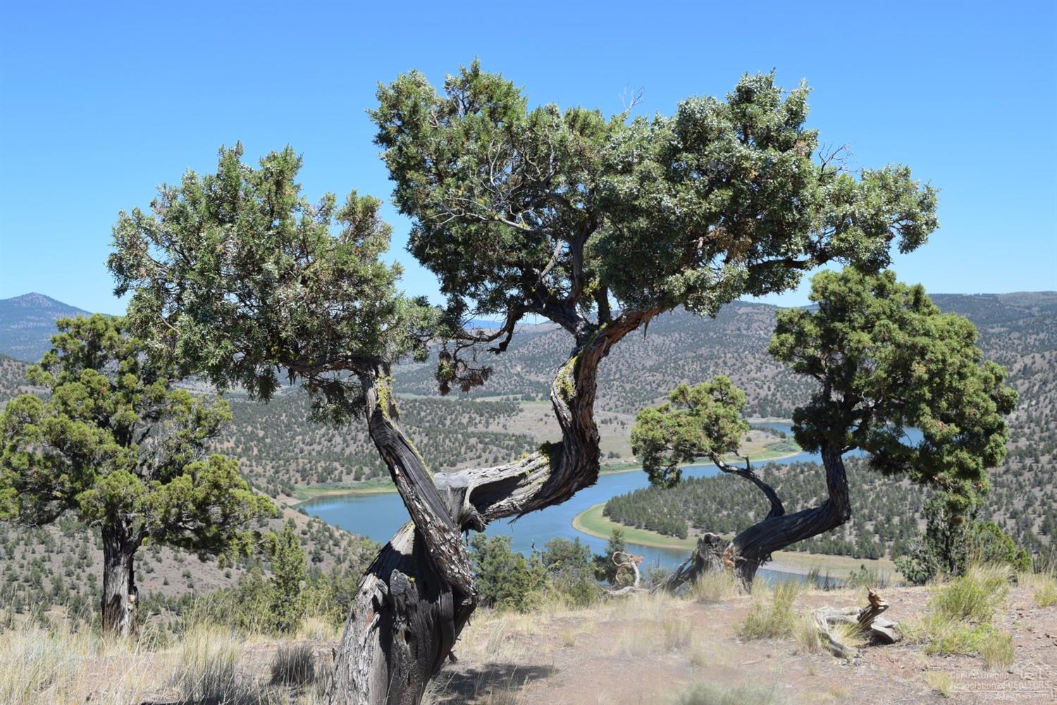 Jasper Knolls - Residential