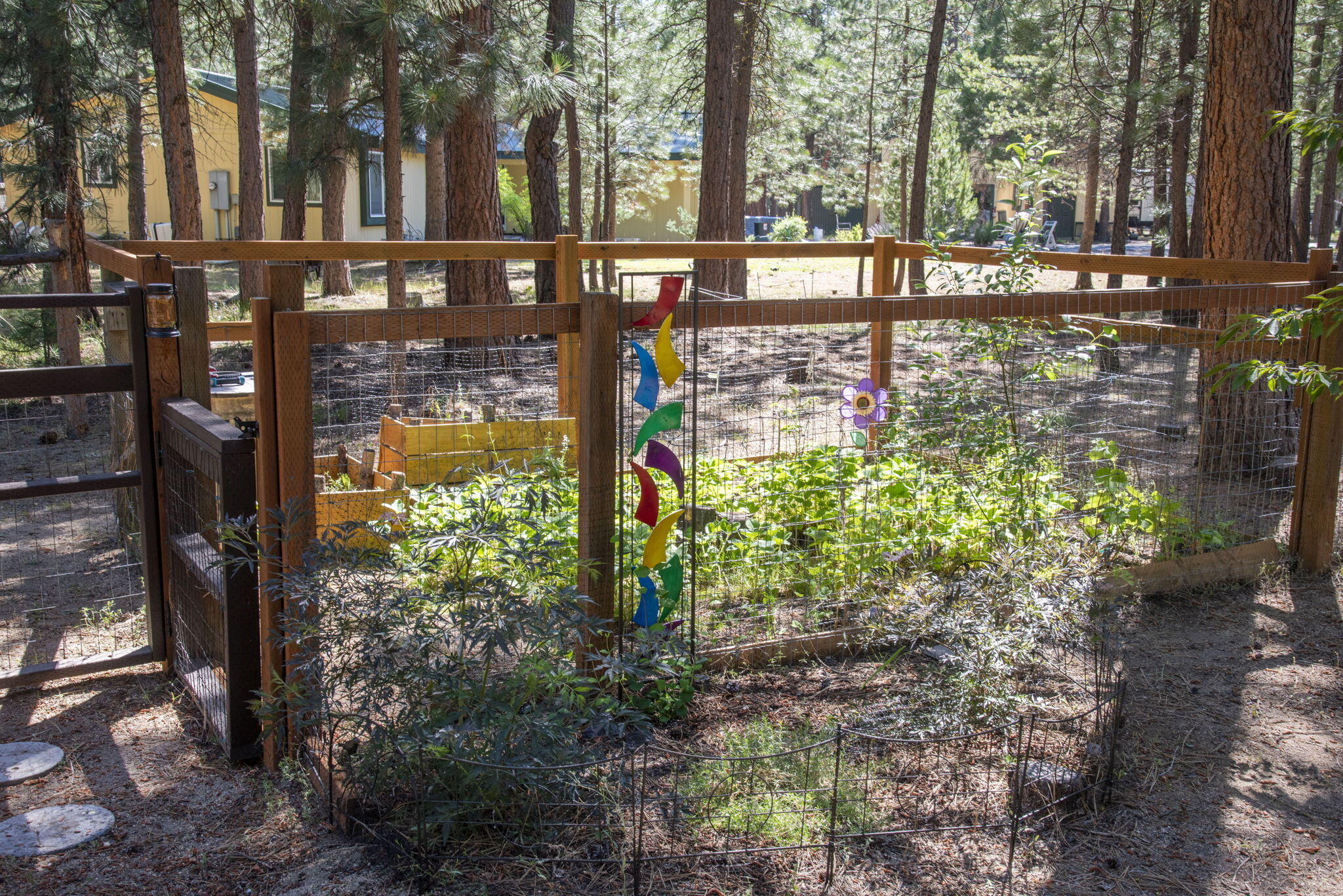 Ponderosa Pines - Residential