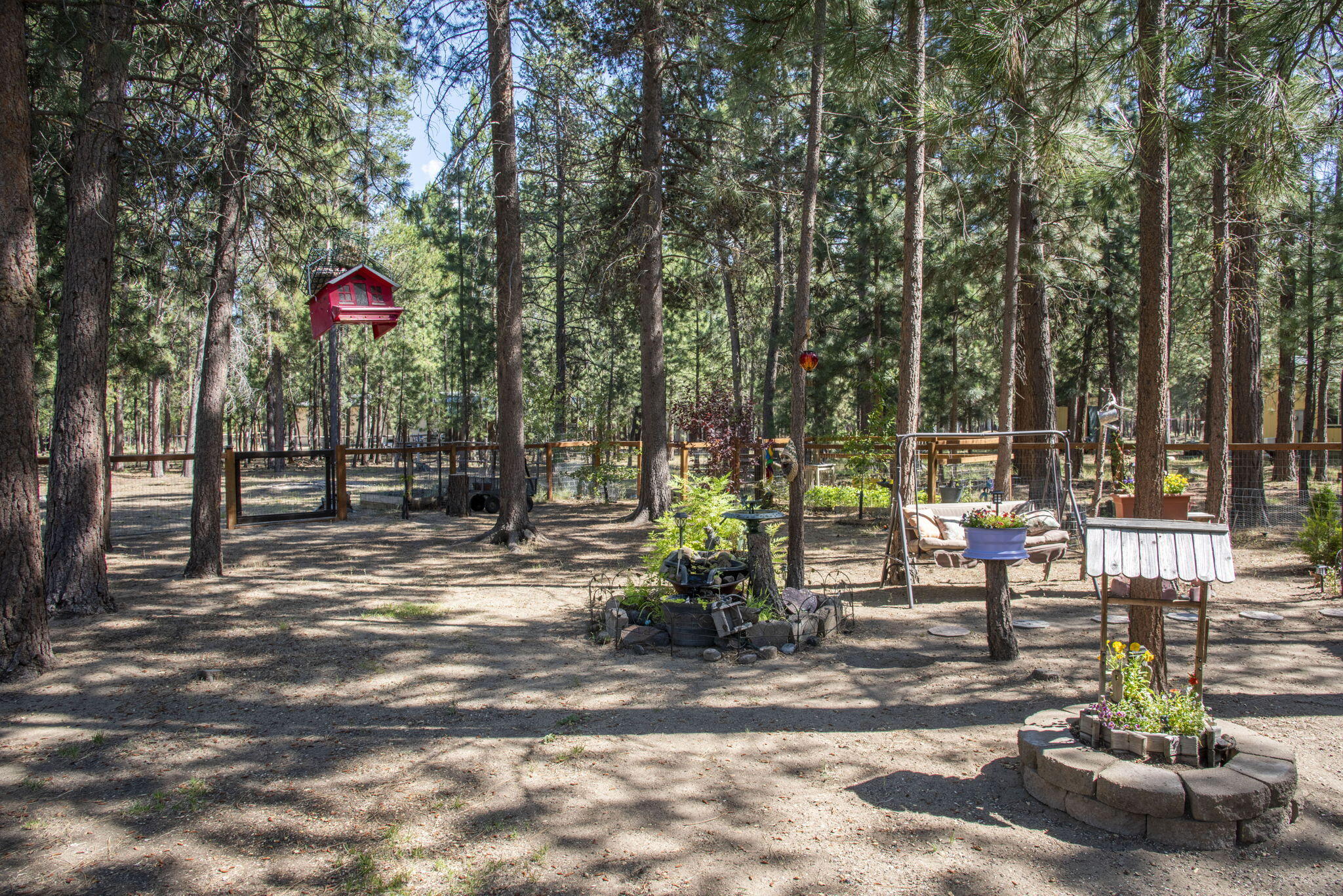 Ponderosa Pines - Residential