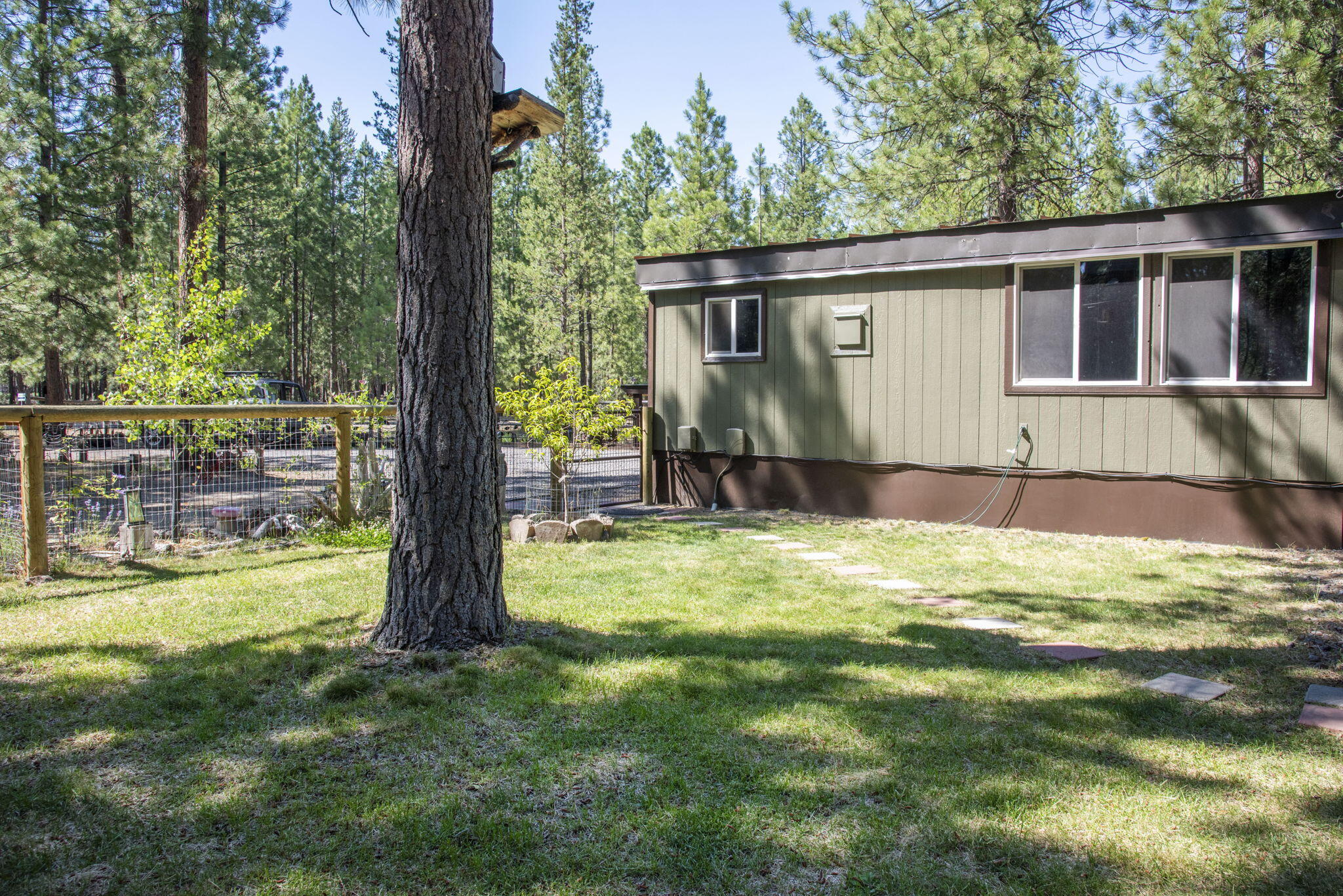 Ponderosa Pines - Residential