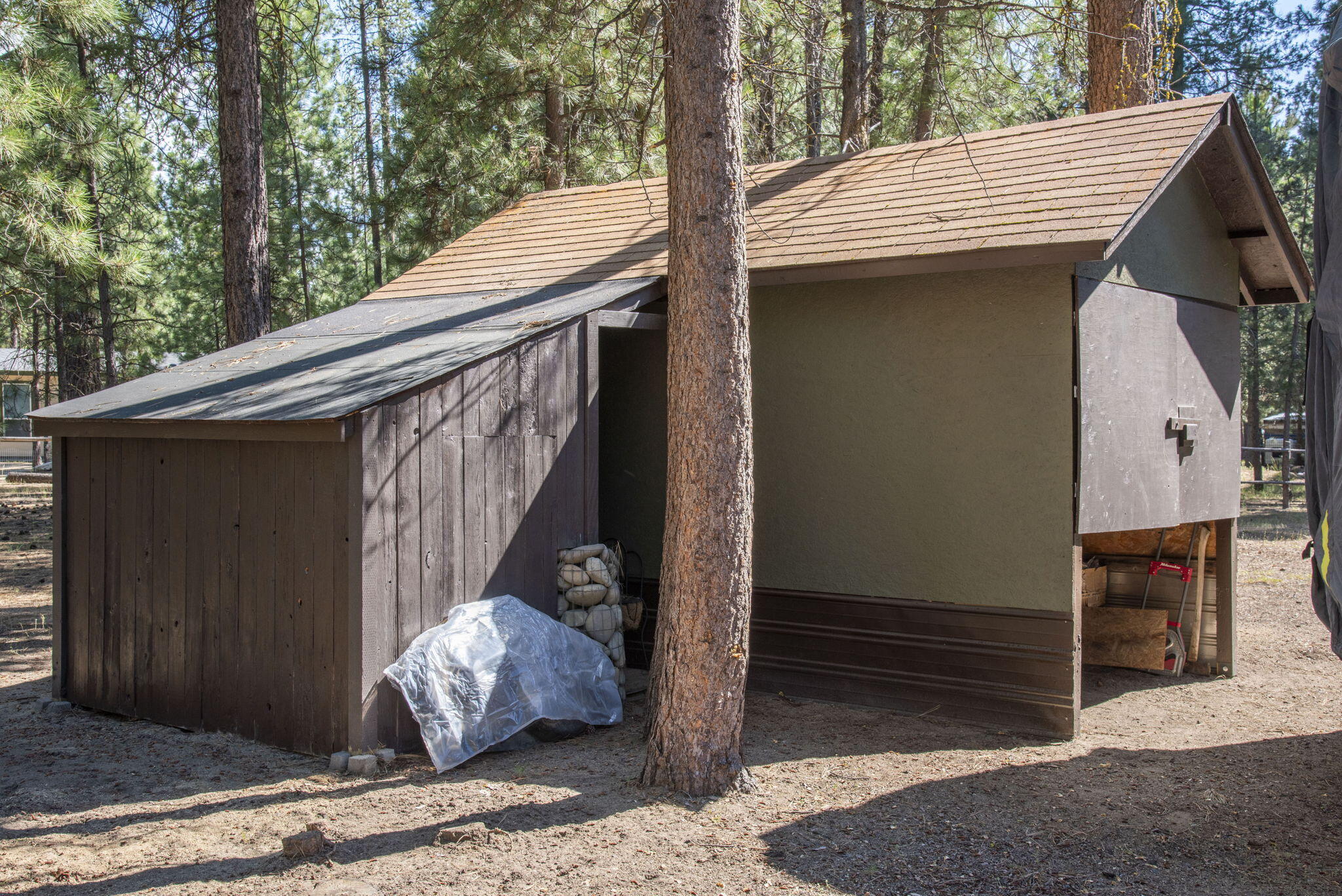 Ponderosa Pines - Residential